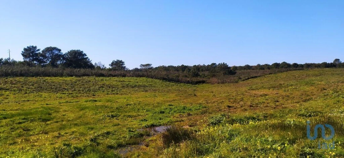Terreno para Venda em Vila do Bispo e Raposeira Foto 10