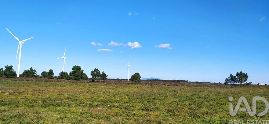 Terreno para Venda em Vila do Bispo e Raposeira Foto 21