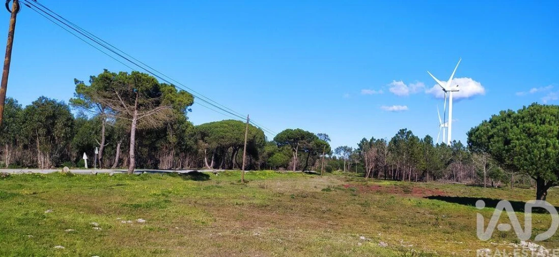 Terreno para Venda em Vila do Bispo e Raposeira Foto 24