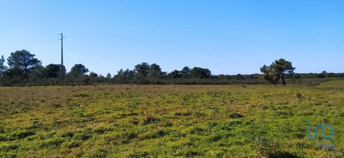 Terreno para Venda em Vila do Bispo e Raposeira Foto 5