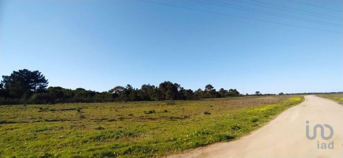 Terreno para Venda em Vila do Bispo e Raposeira Foto 3