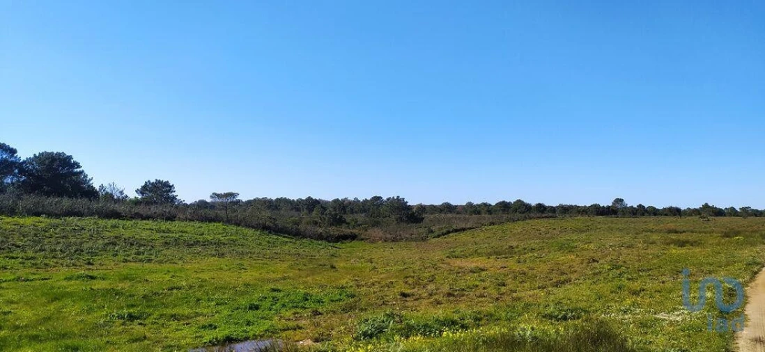 Terreno para Venda em Vila do Bispo e Raposeira Foto 11