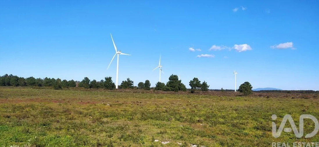 Terreno para Venda em Vila do Bispo e Raposeira Foto 18