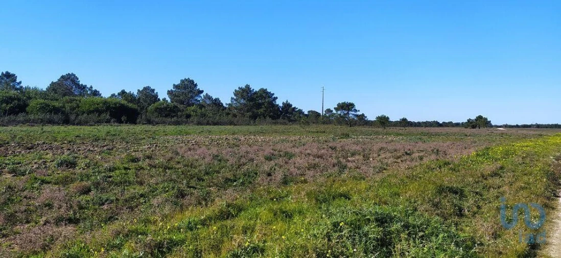 Terreno para Venda em Vila do Bispo e Raposeira Foto 4