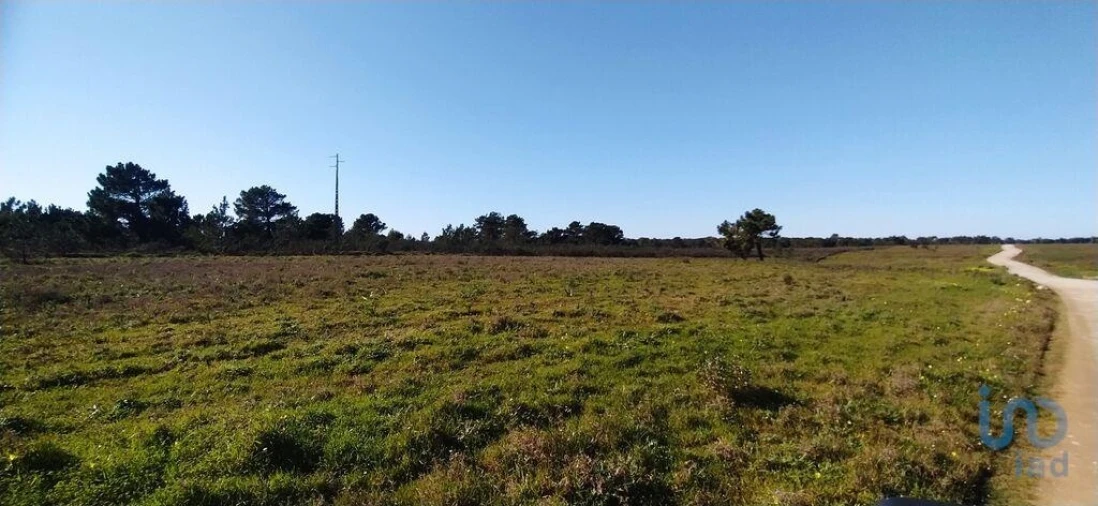 Terreno para Venda em Vila do Bispo e Raposeira Foto 6