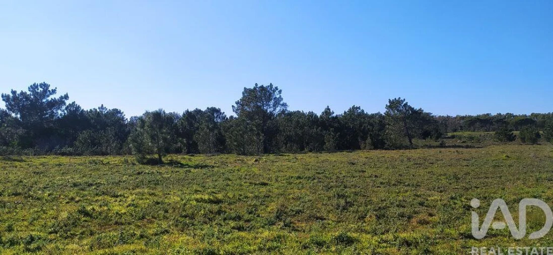 Terreno para Venda em Vila do Bispo e Raposeira Foto 17