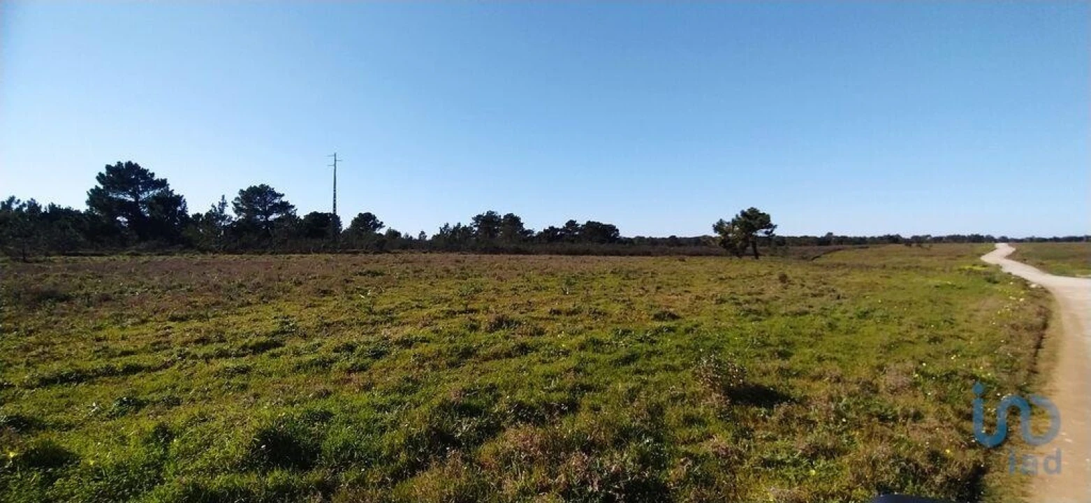 Terreno para Venda em Vila do Bispo e Raposeira Foto 6