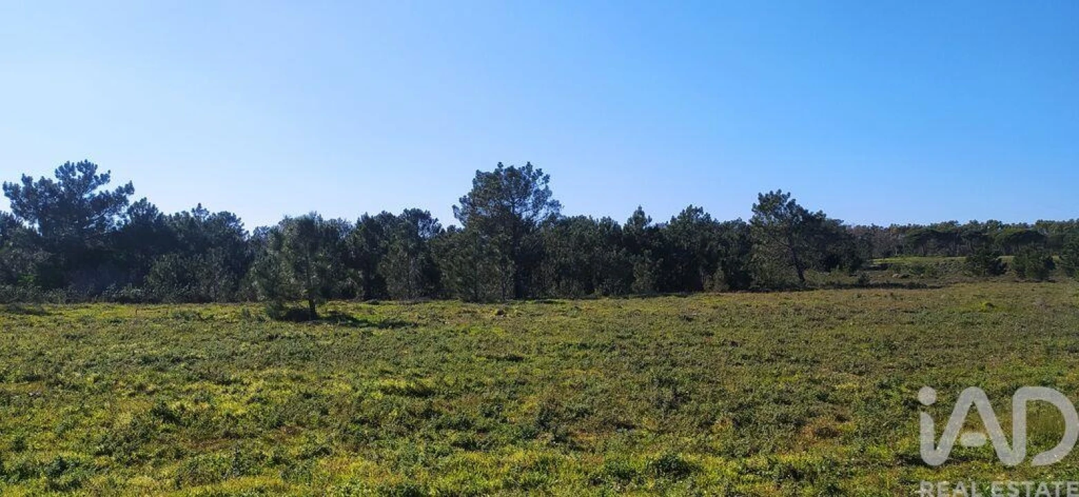 Terreno para Venda em Vila do Bispo e Raposeira Foto 17