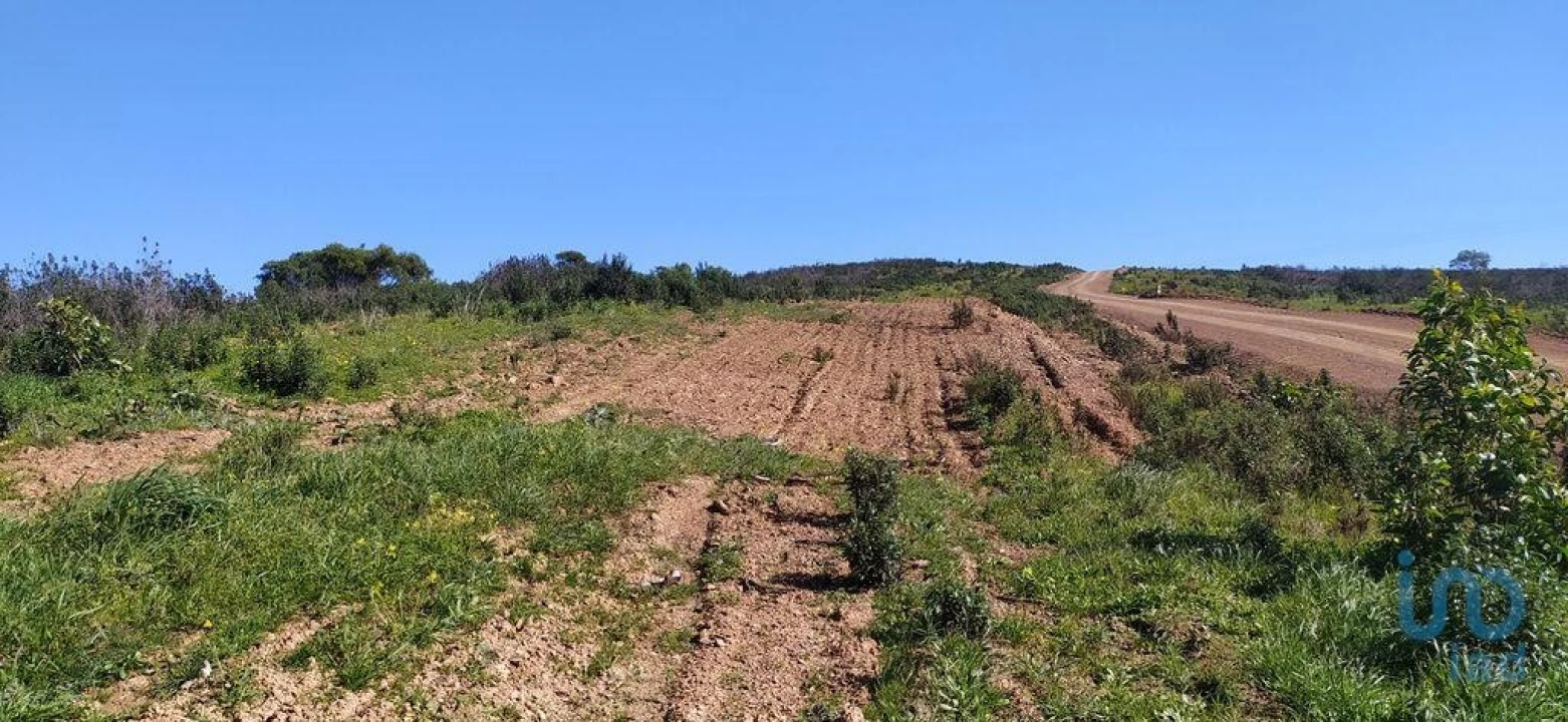 Terreno para Venda em Vila do Bispo e Raposeira Foto 12