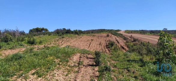 Terreno para Venda em Vila do Bispo e Raposeira