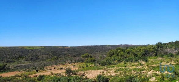 Terreno para Venda em Vila do Bispo e Raposeira