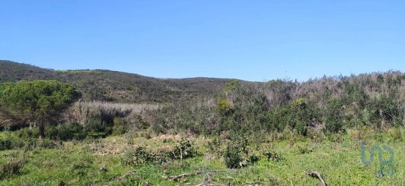 Terreno para Venda em Vila do Bispo e Raposeira