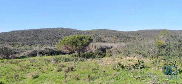 Terreno para Venda em Vila do Bispo e Raposeira