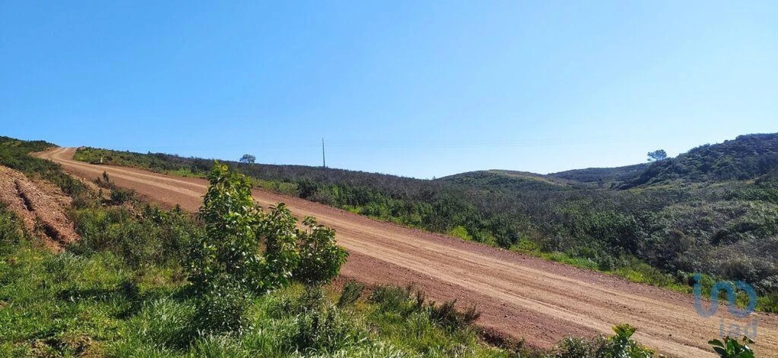 Terreno para Venda em Vila do Bispo e Raposeira Foto 11