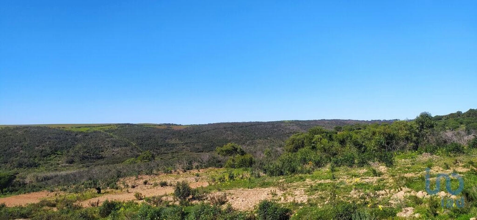 Terreno para Venda em Vila do Bispo e Raposeira Foto 5