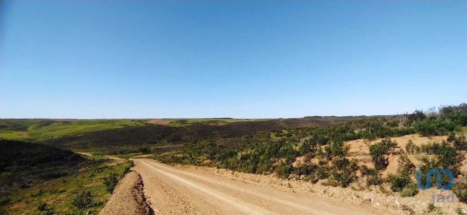 Terreno para Venda em Vila do Bispo e Raposeira Foto 3