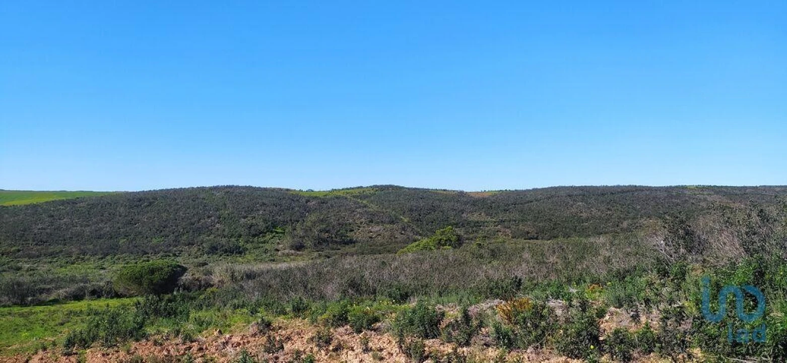 Terreno para Venda em Vila do Bispo e Raposeira Foto 6
