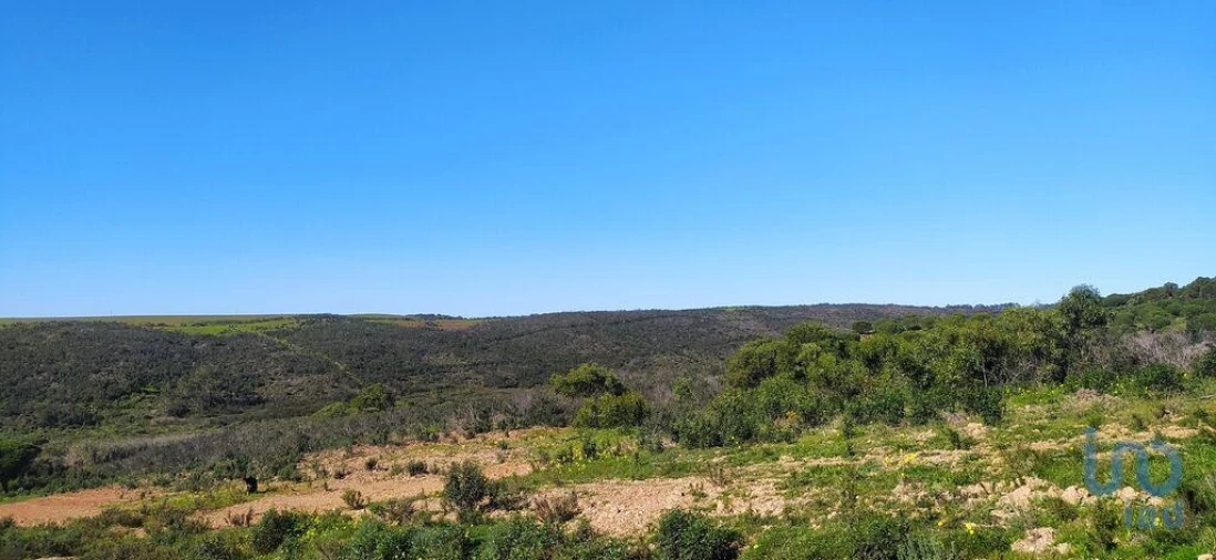Terreno para Venda em Vila do Bispo e Raposeira Foto 5