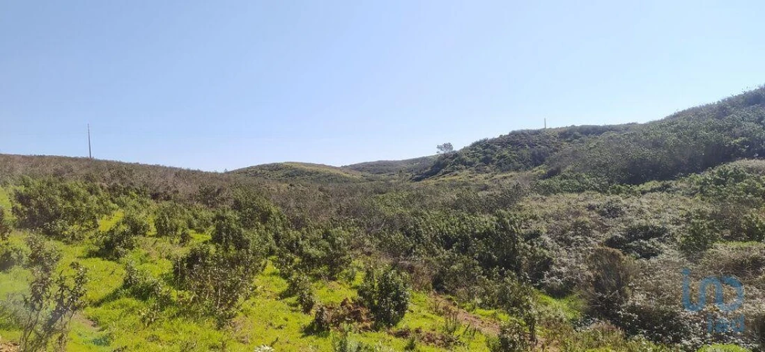 Terreno para Venda em Vila do Bispo e Raposeira Foto 13