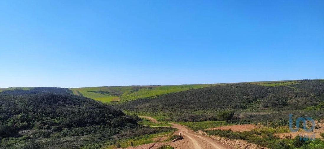 Terreno para Venda em Vila do Bispo e Raposeira Foto 4