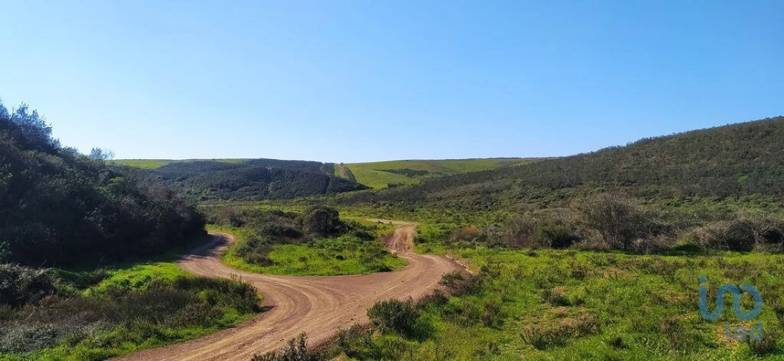Terreno para Venda em Vila do Bispo e Raposeira Foto 8