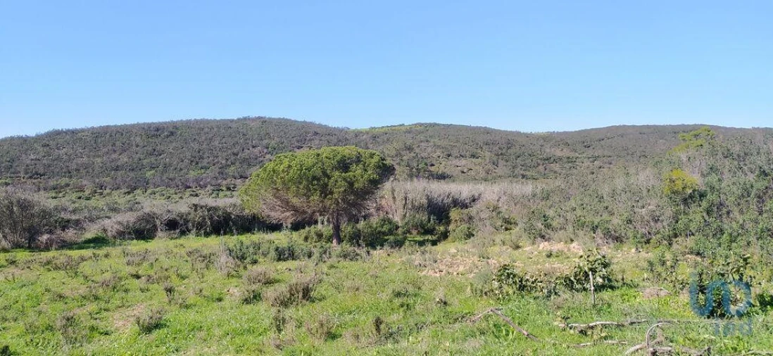 Terreno para Venda em Vila do Bispo e Raposeira Foto 10