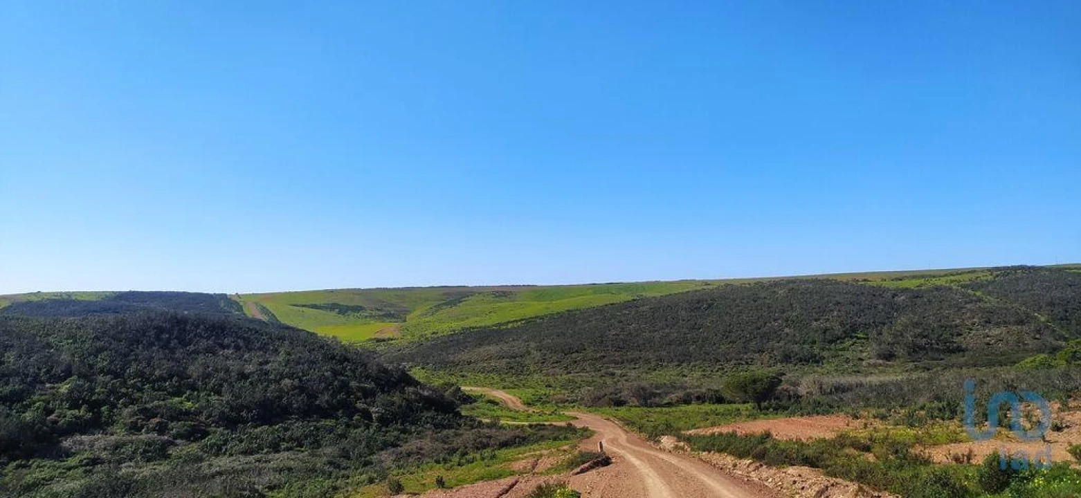 Terreno para Venda em Vila do Bispo e Raposeira Foto 4