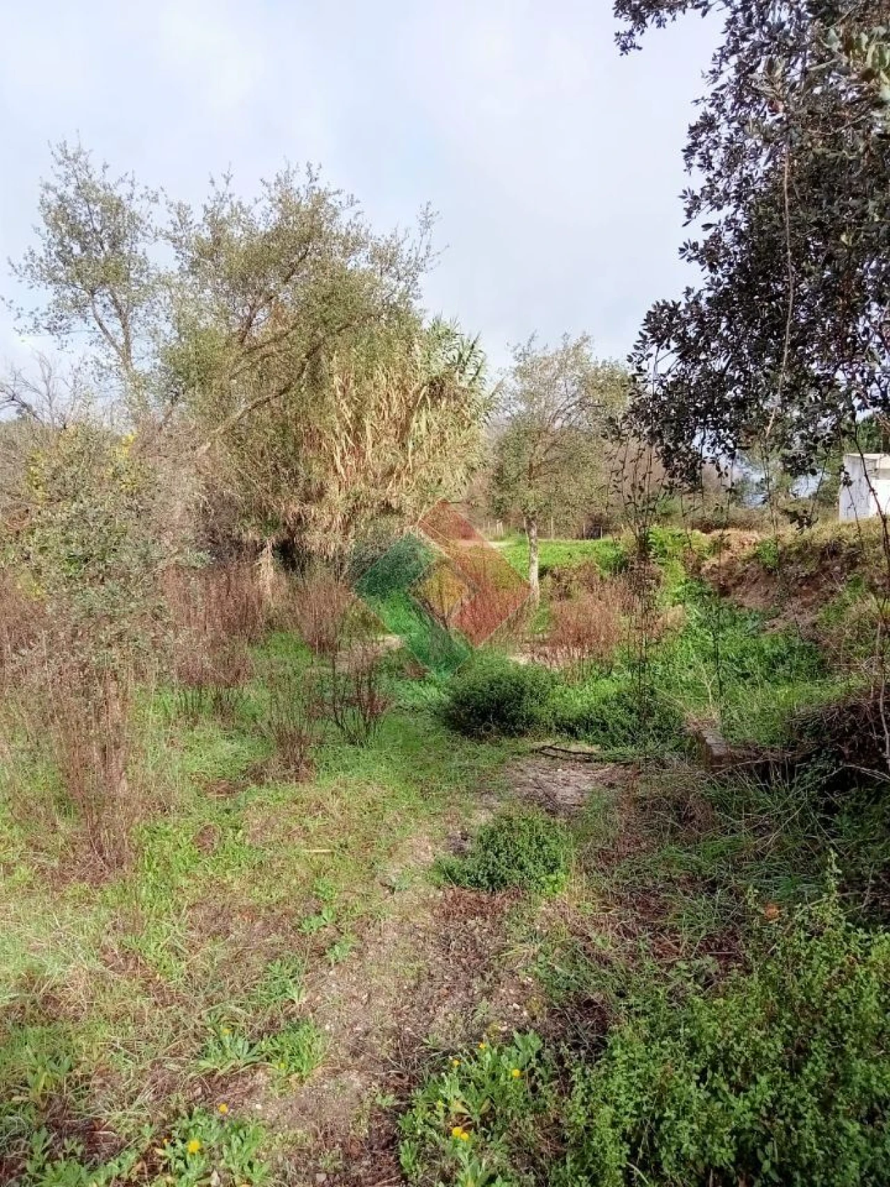Terreno Agricola ou Rústico para Venda em Longomel Foto 7