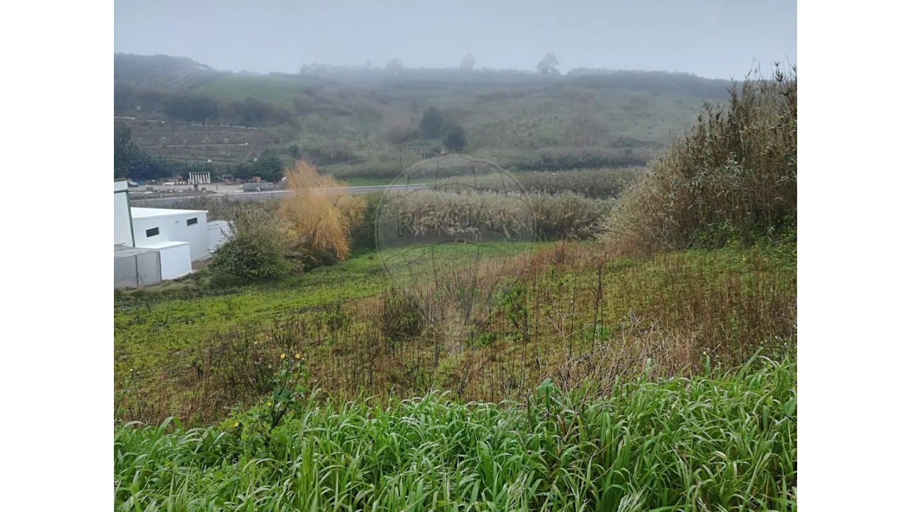 Terreno para Venda em Lourinhã e Atalaia Foto 3