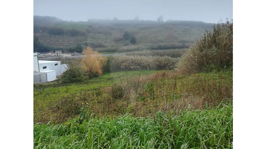 Terreno para Venda em Lourinhã e Atalaia Foto 3