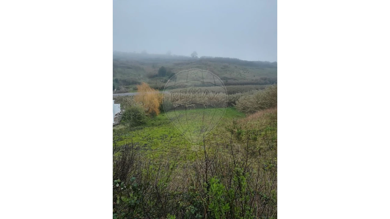 Terreno para Venda em Lourinhã e Atalaia Foto 2