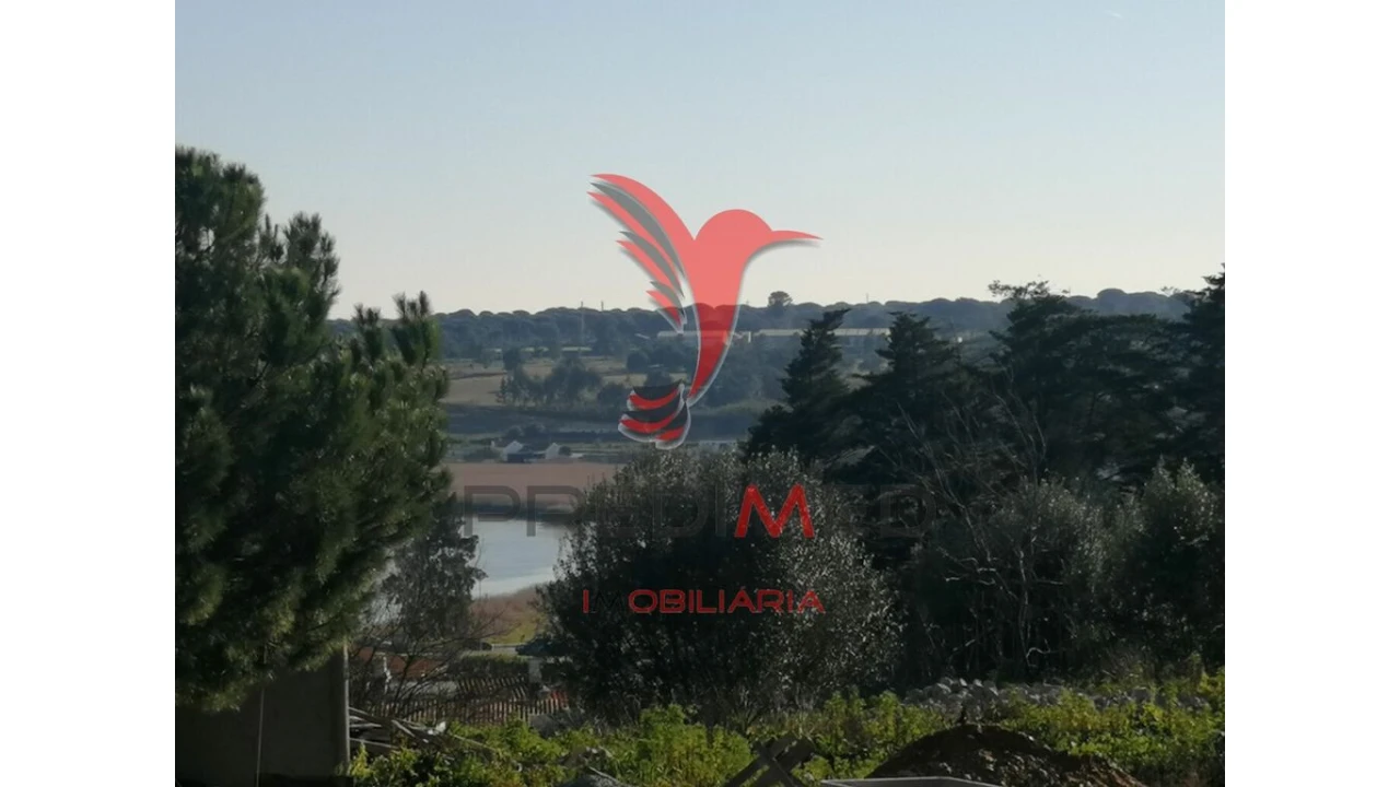 Terreno para Venda em São Martinho Foto 5