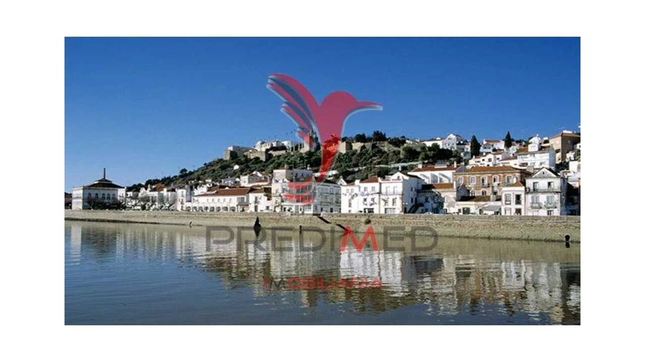 Terreno para Venda em São Martinho Foto 2