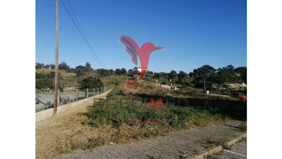 Terreno para Venda em São Martinho Foto 6