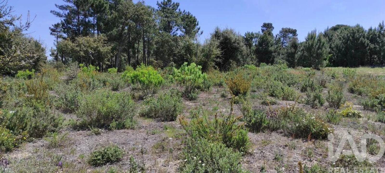 Terreno para Venda em Sesimbra (Castelo) Foto 19