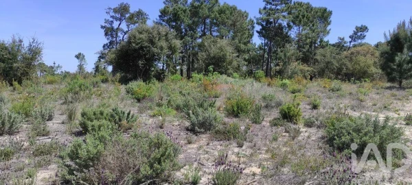 Terreno para Venda em Sesimbra (Castelo)