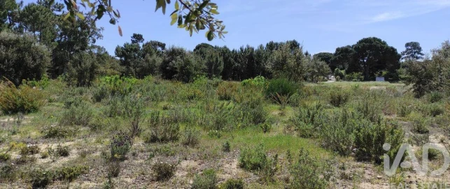Terreno para Venda em Sesimbra (Castelo)