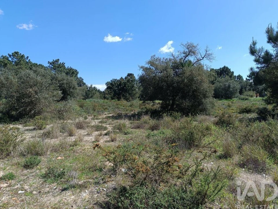 Terreno para Venda em Sesimbra (Castelo) Foto 9