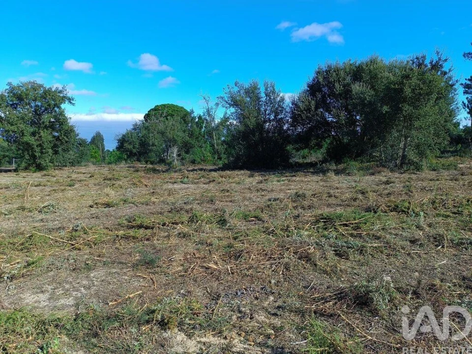 Terreno para Venda em Sesimbra (Castelo) Foto 2