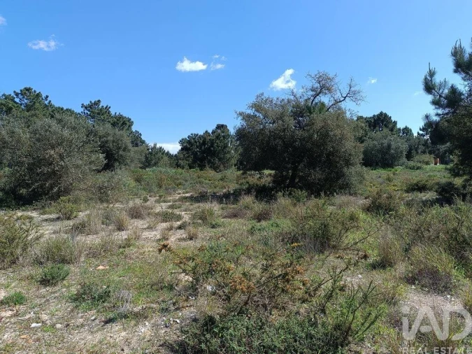 Terreno para Venda em Sesimbra (Castelo) Foto 9
