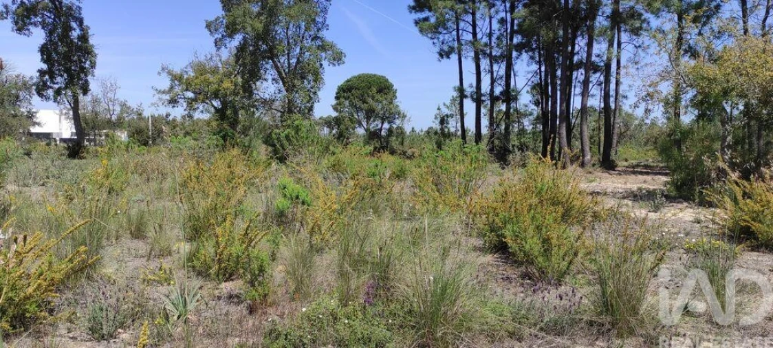 Terreno para Venda em Sesimbra (Castelo) Foto 23