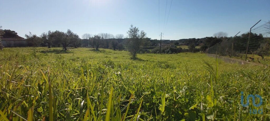 Terreno para Venda em Fraguas Foto 4