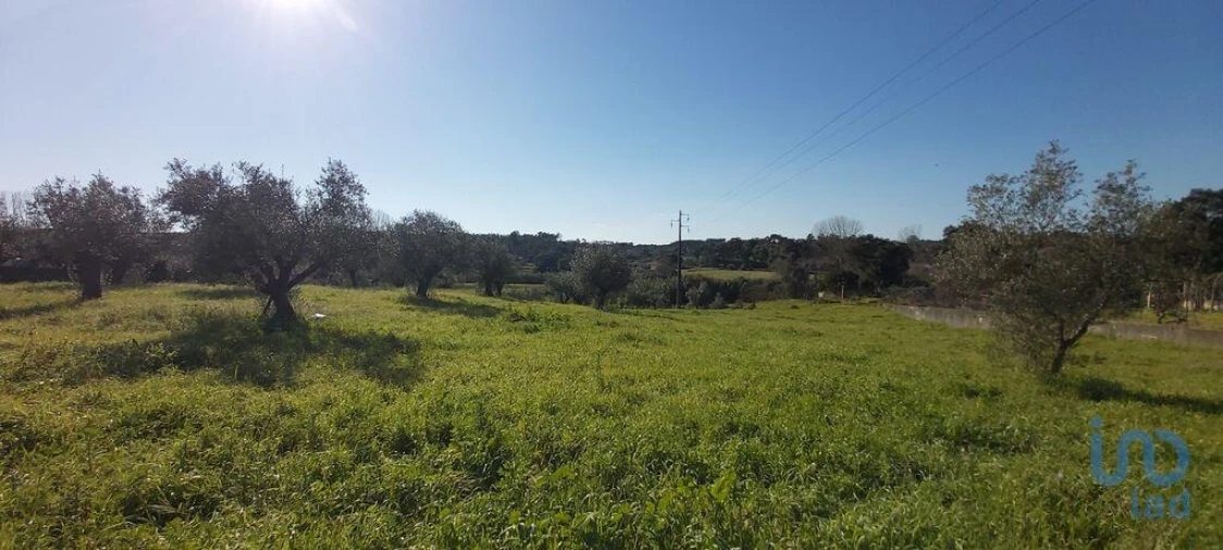 Terreno para Venda em Fraguas Foto 3