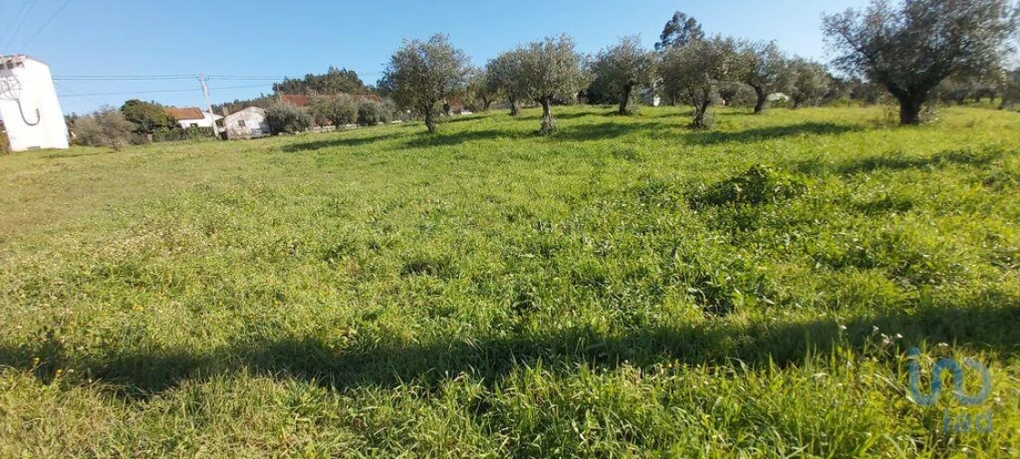 Terreno para Venda em Fraguas Foto 13