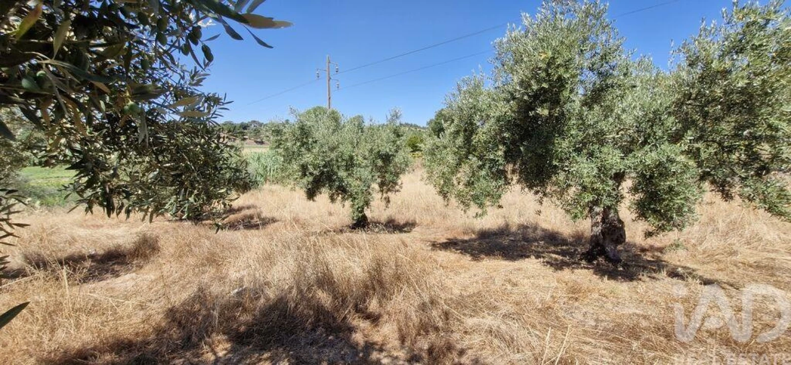 Terreno para Venda em Fraguas Foto 28