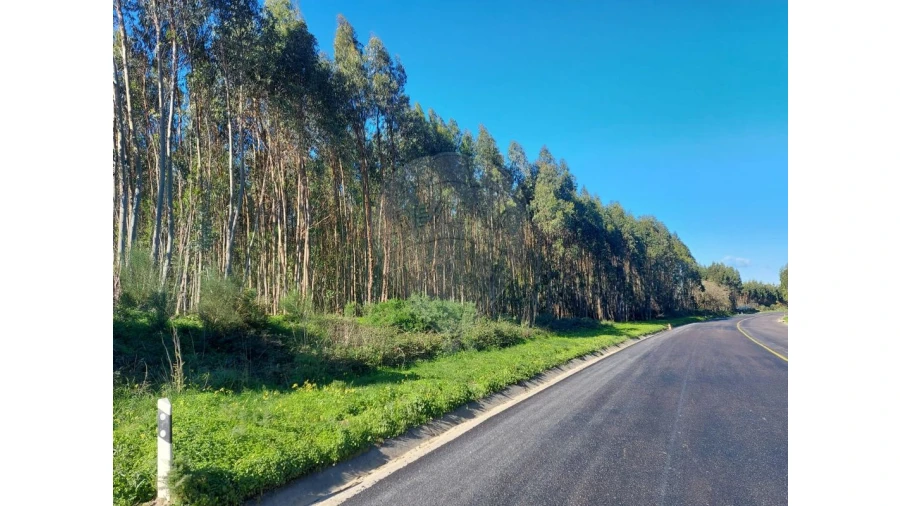 Terreno para Venda em Benedita Foto 4