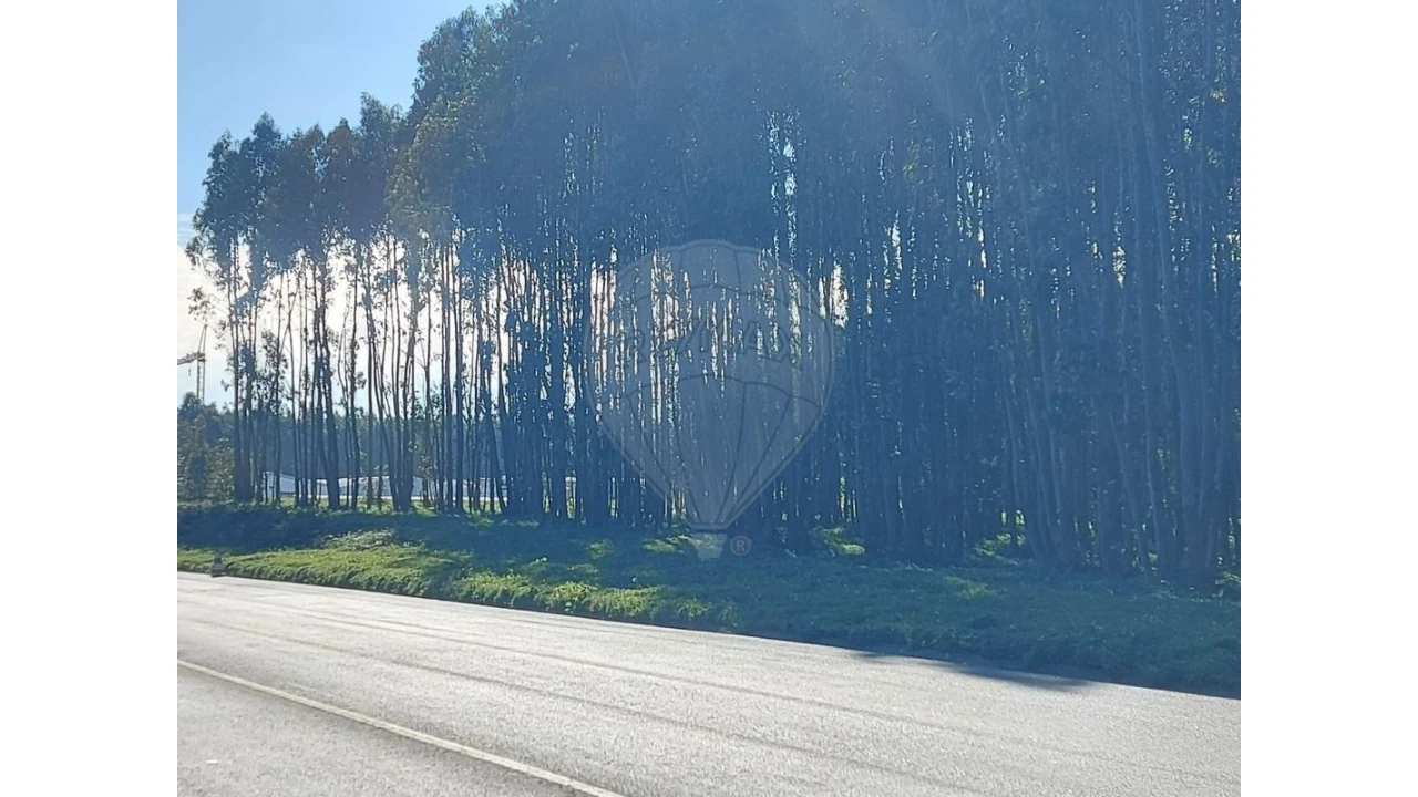 Terreno para Venda em Benedita Foto 2