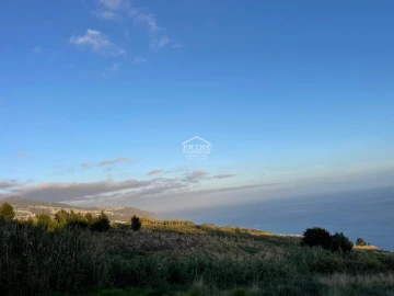 Terreno para Venda em Prazeres