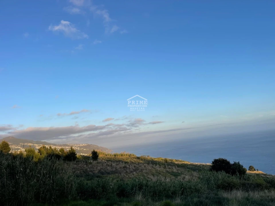 Terreno para Venda em Prazeres Foto 7