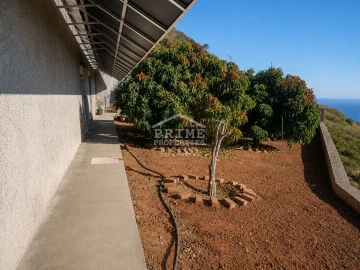 Moradia T3 para Venda em Arco da Calheta
